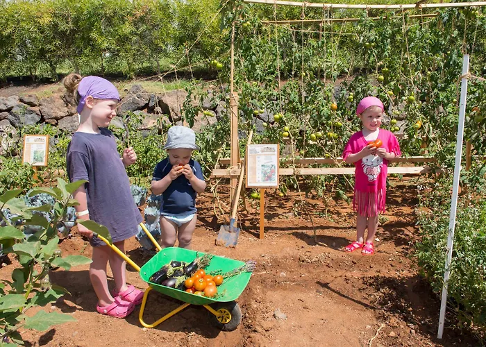 Szálloda Club Jandia Princess Pájara